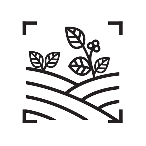 Bar Cobra logo